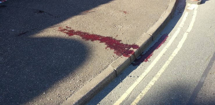 Highway Clean-Up