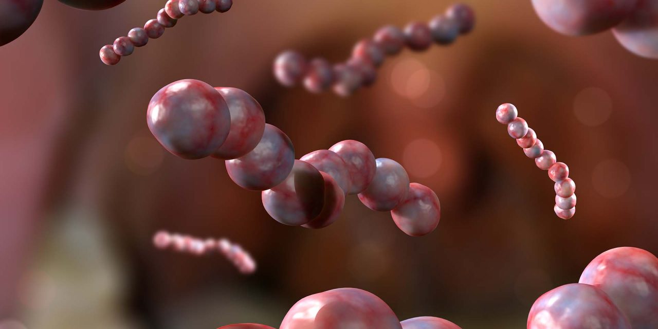 How to Help Prevent the Next UK Outbreak of Strep A