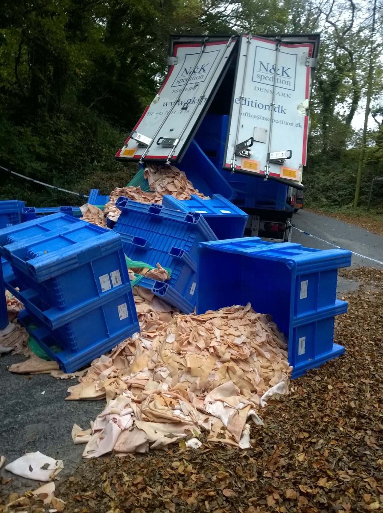 Animal-Waste-Clean-Up-1.jpg2_-1 Animal-Waste-Clean-Up-1.jpg2_-1