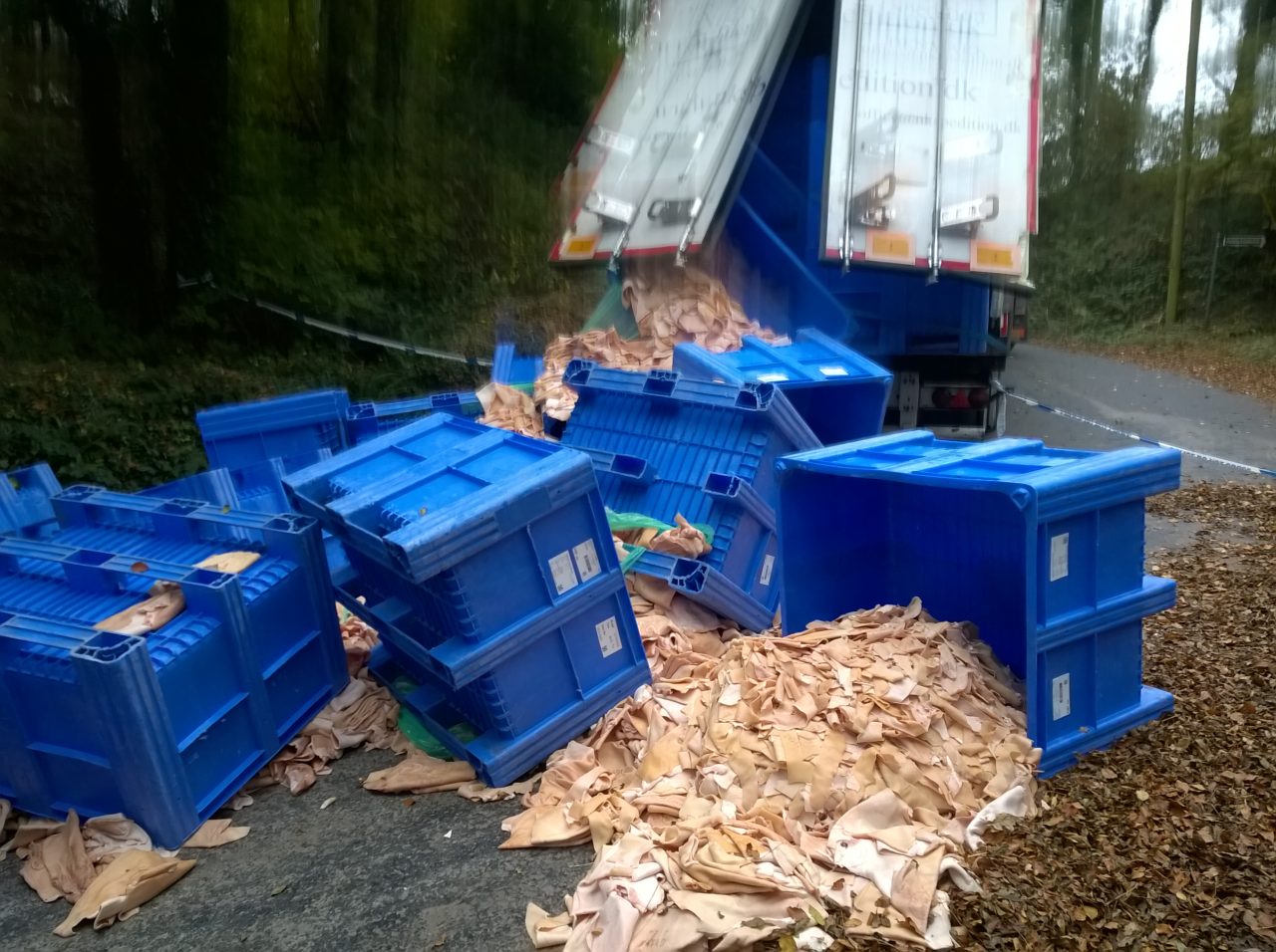 Animal-Waste-Clean-Up Animal-Waste-Clean-Up