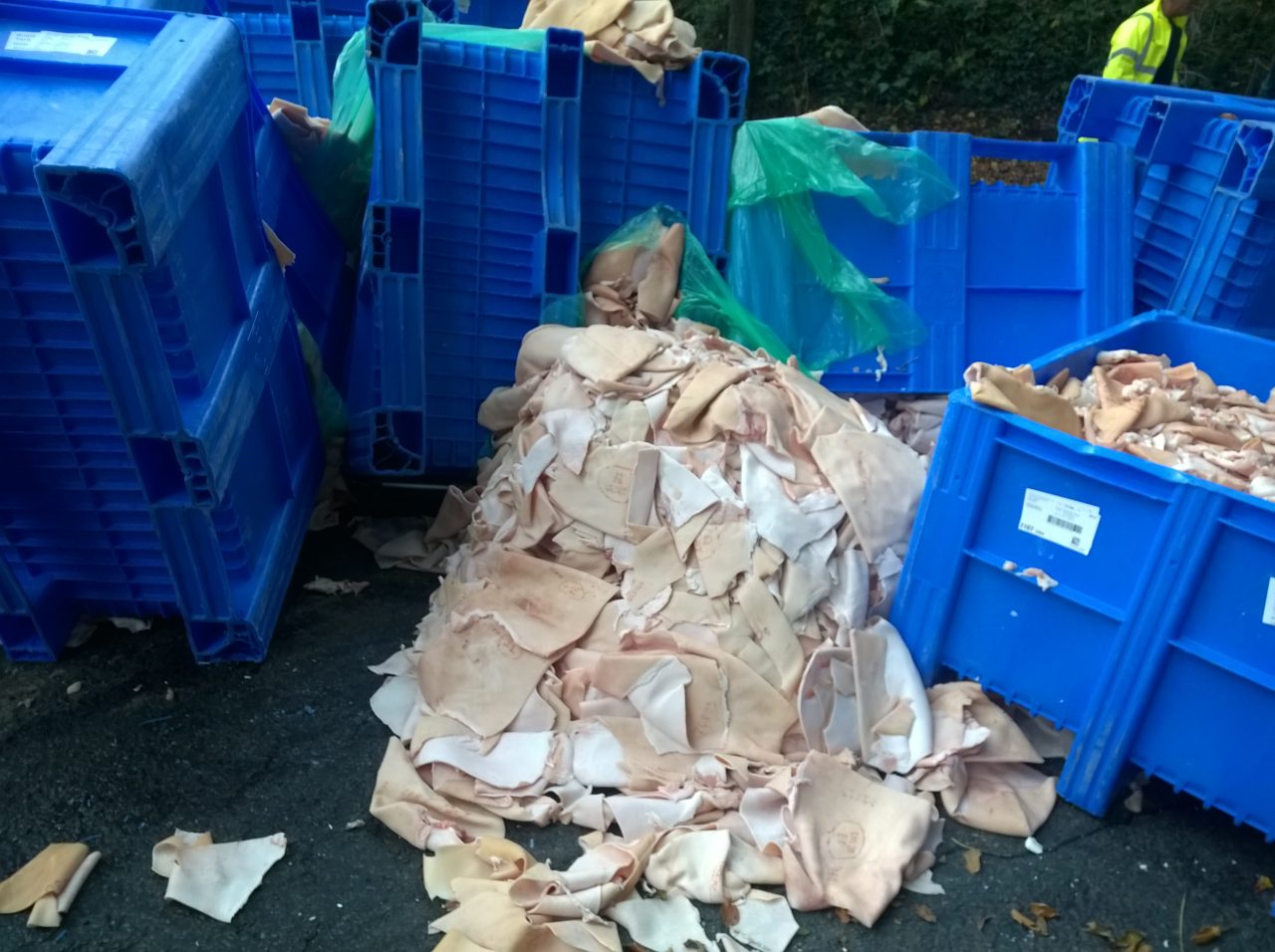 Animal-Waste-Clean-Up.jpg10 Animal-Waste-Clean-Up.jpg10