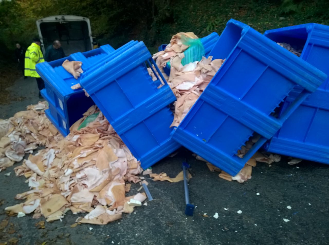 Animal-Waste-Clean-Up.jpg11 Animal-Waste-Clean-Up.jpg11