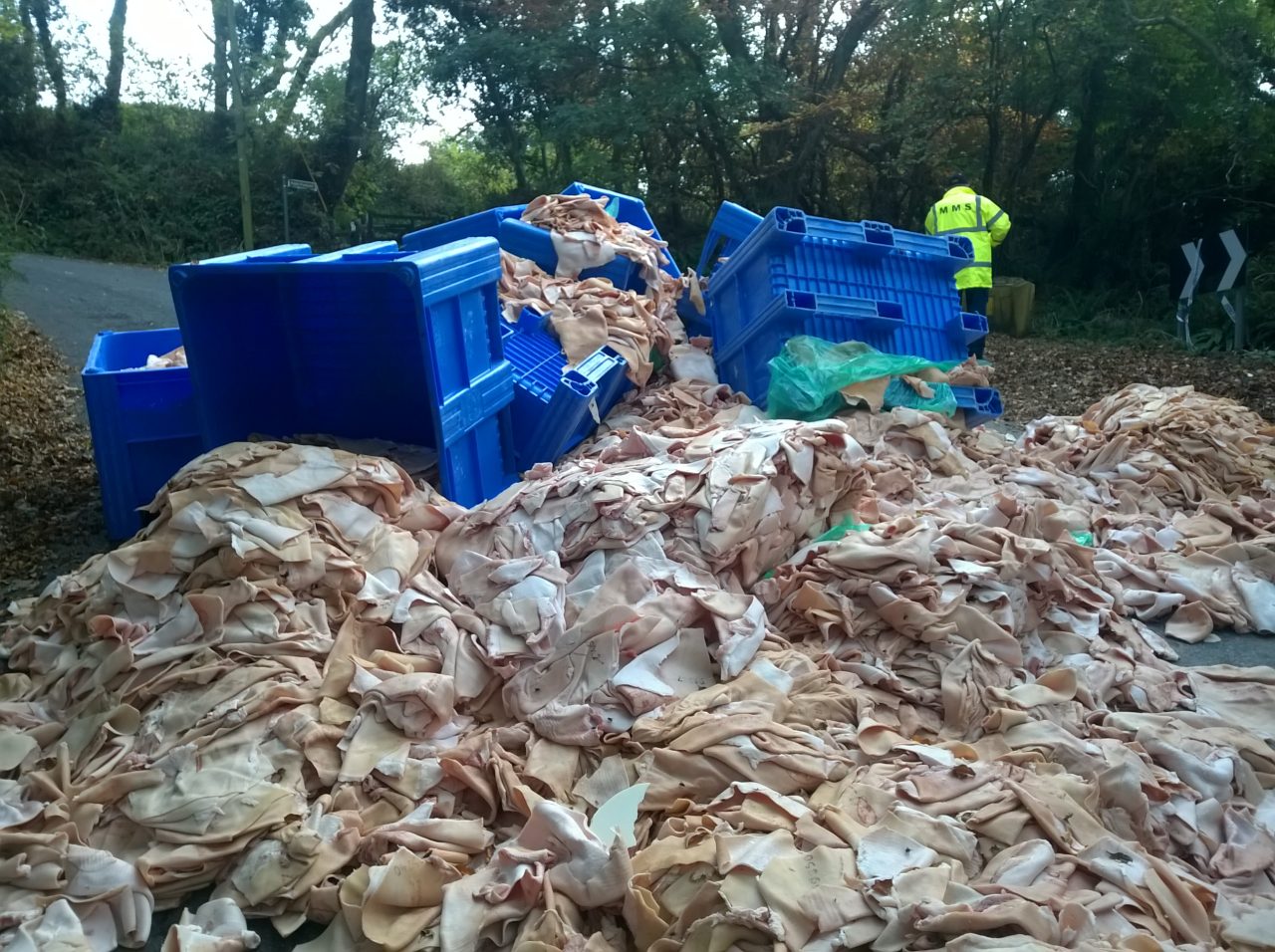Animal-Waste-Clean-Up.jpg12 Animal-Waste-Clean-Up.jpg12