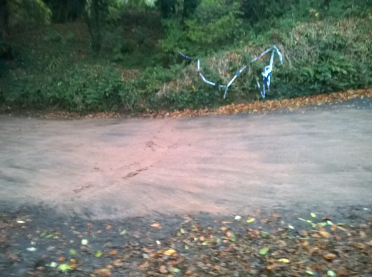 Animal-Waste-Clean-Up.jpg14 Animal-Waste-Clean-Up.jpg14