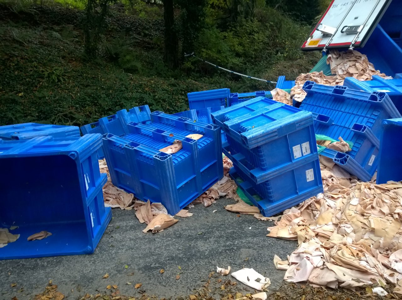 Animal-Waste-Clean-Up.jpg1_ Animal-Waste-Clean-Up.jpg1_