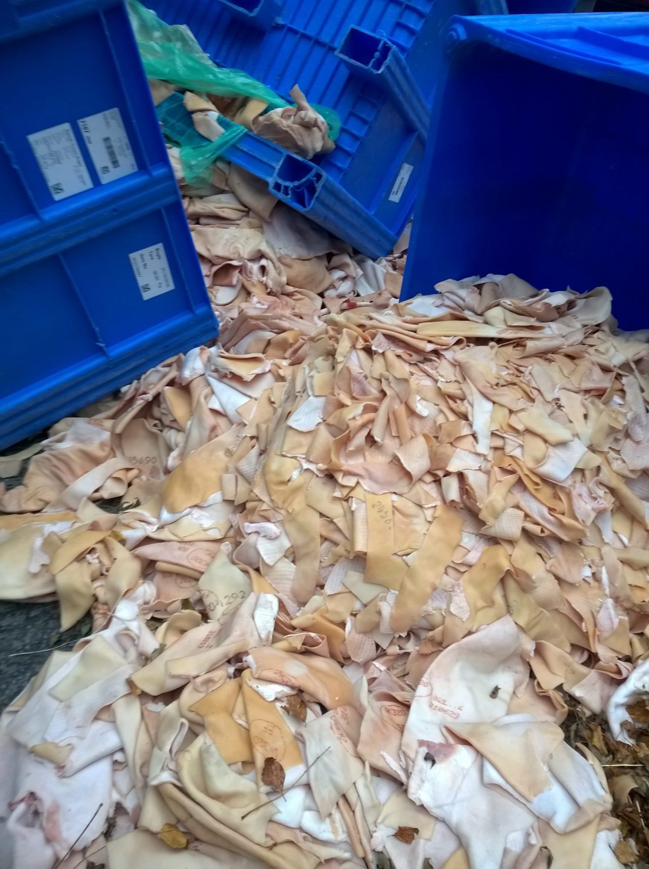 Animal-Waste-Clean-Up.jpg3_ Animal-Waste-Clean-Up.jpg3_