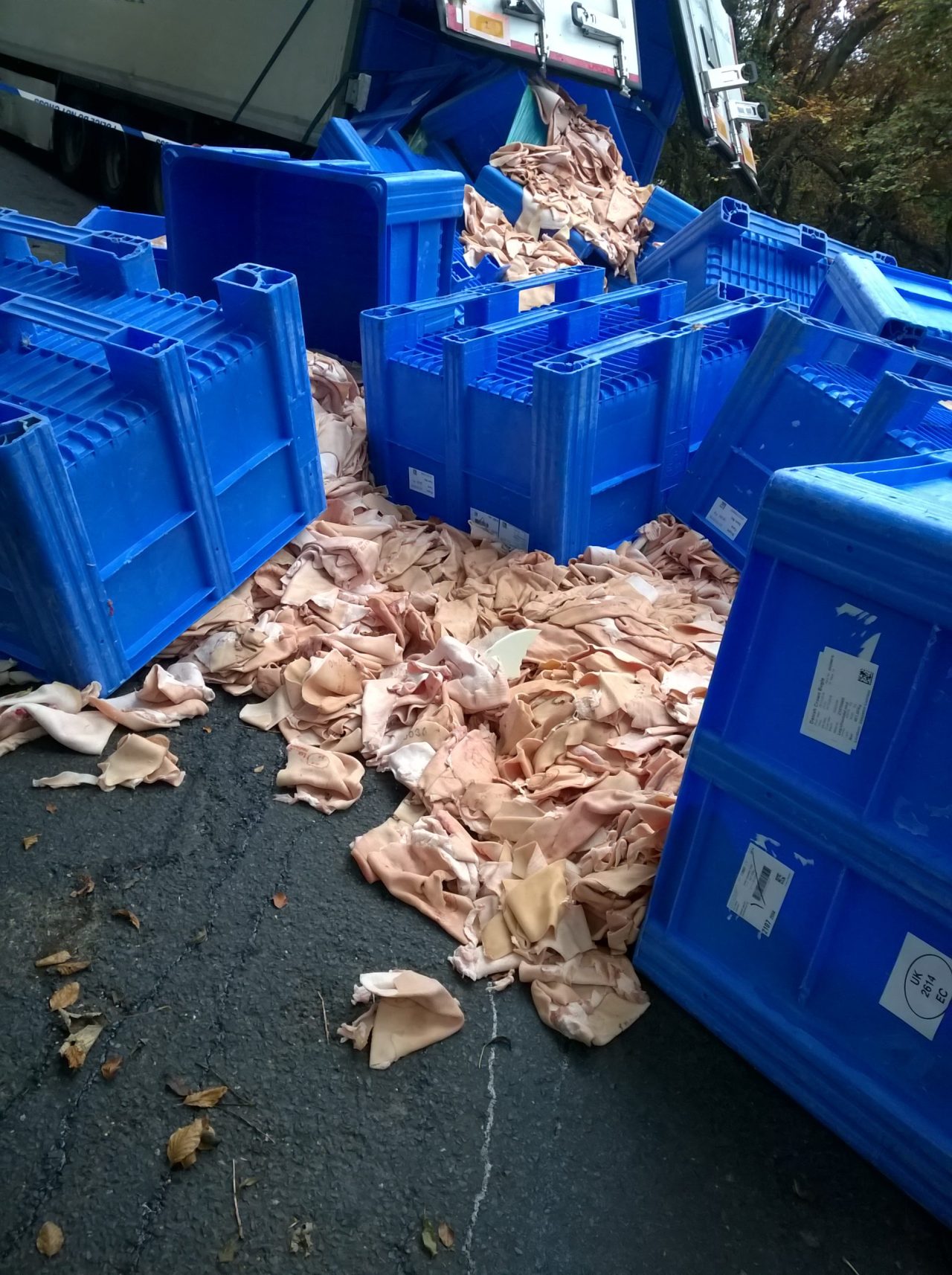 Animal-Waste-Clean-Up.jpg5_ Animal-Waste-Clean-Up.jpg5_