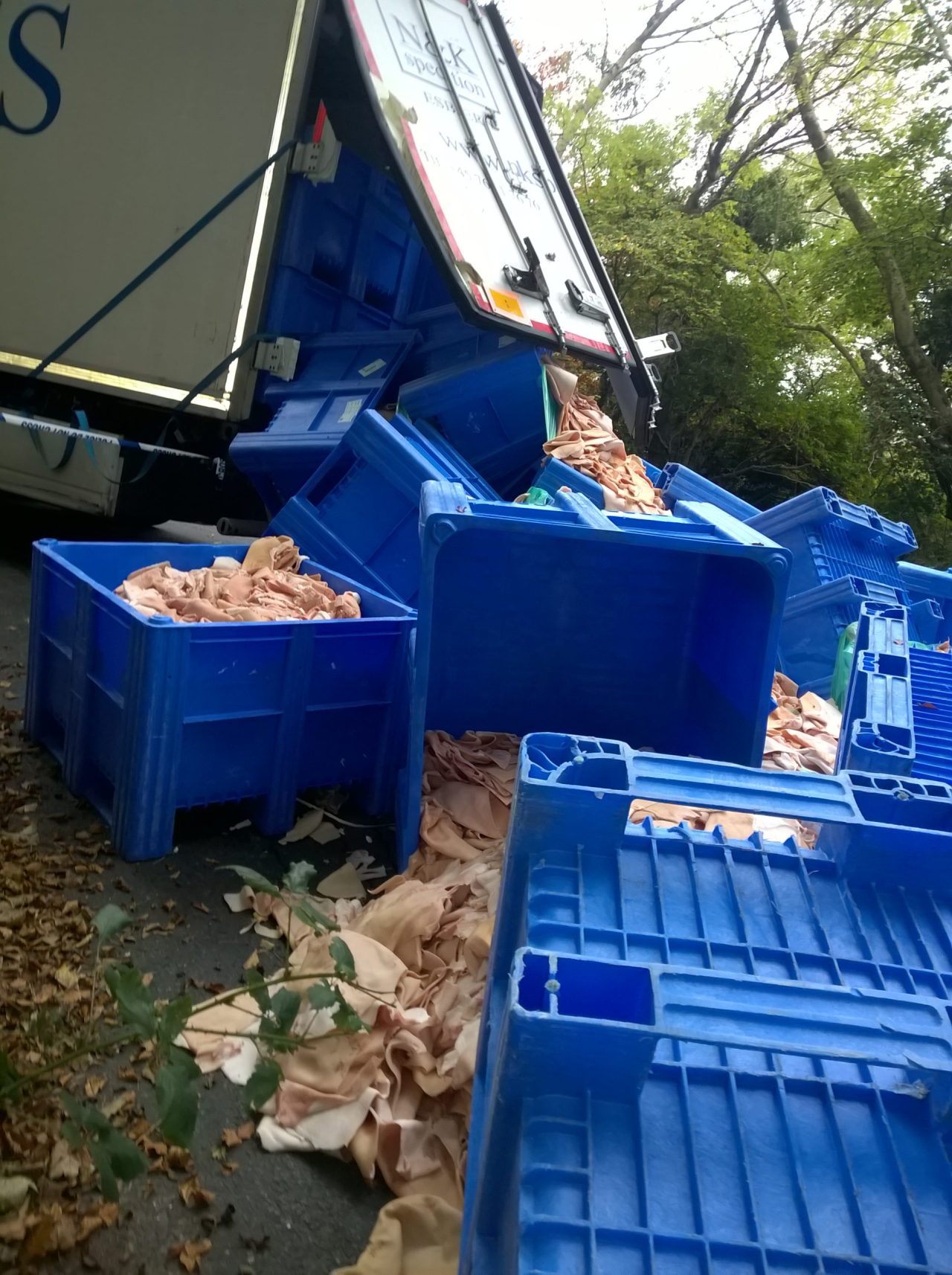Animal-Waste-Clean-Up.jpg6_ Animal-Waste-Clean-Up.jpg6_