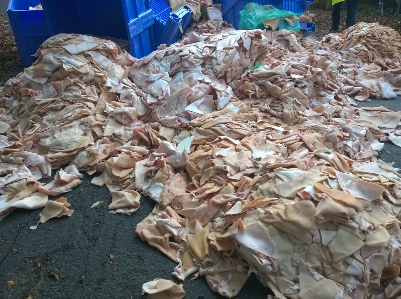 Animal-Waste-Clean-Up.jpg7_ Animal-Waste-Clean-Up.jpg7_
