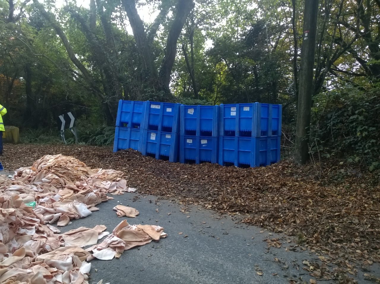 Animal-Waste-Clean-Up.jpg8_ Animal-Waste-Clean-Up.jpg8_