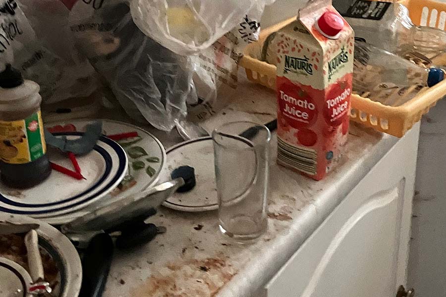 The kitchen at a hoarder property, showing dirty and unwashed plates and general clutter